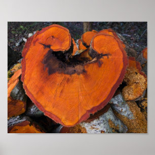 Alder Heart - Póster