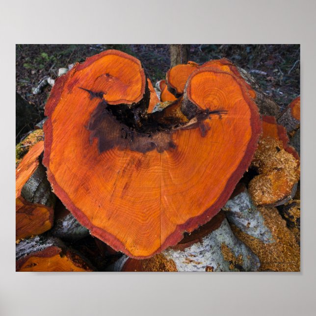Alder Heart - Póster (Frente)