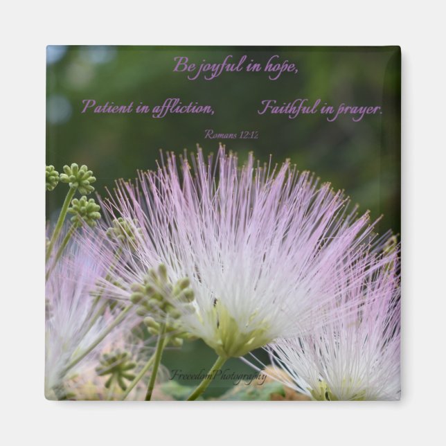 Alegre en el imán de la esperanza (Frente)