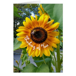 Alegre girasol amarillo con la idea de ti