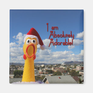 ¡Alegre imán de pollo!