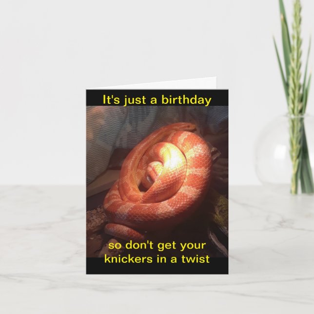 Alegres en una tarjeta de felicitación por la serp (Anverso)