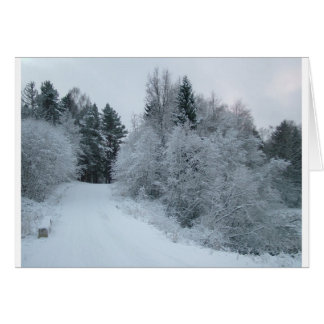 alegría de invierno camino de nieve estonia