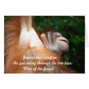 Alegría de la jungla - Haiku tributo a la vida sal