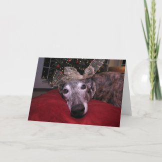 Alegría del galgo del navidad
