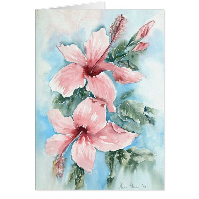 Alegría del hibisco (Frente)