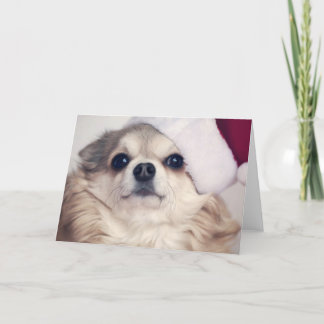 Alegría del perrito del navidad
