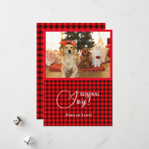 Alegría estacional Navidad Perros y gato Mascota f