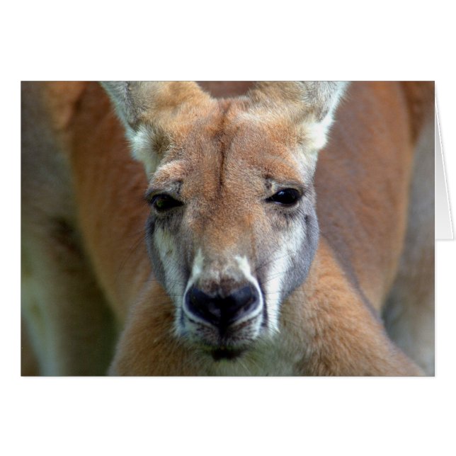 alejarse (Anverso (Horizontal))