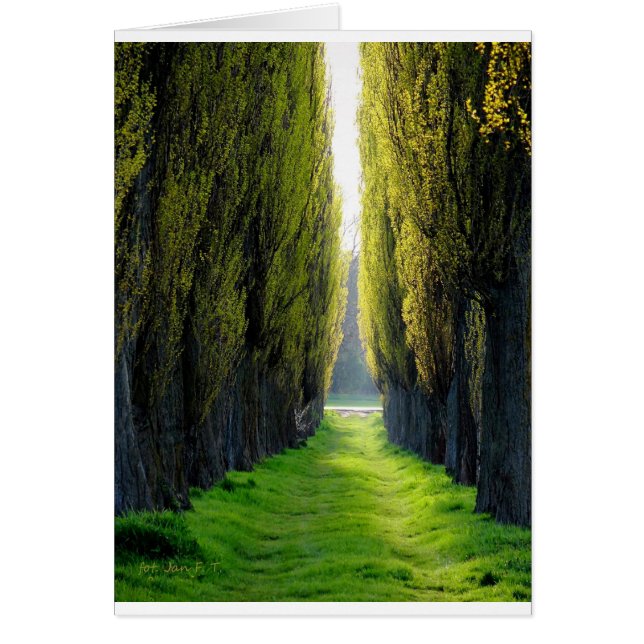 ALEJAWroclaw Polonia (Frente)