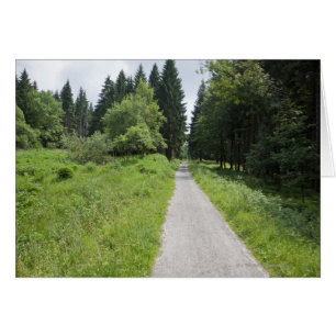 Alemania, Turingia, sendero en el bosque