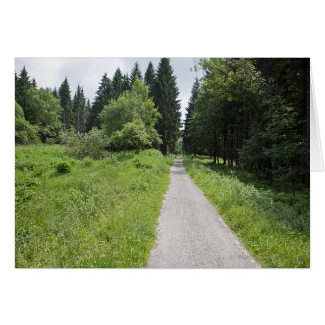 Alemania, Turingia, sendero en el bosque (Anverso (Horizontal))