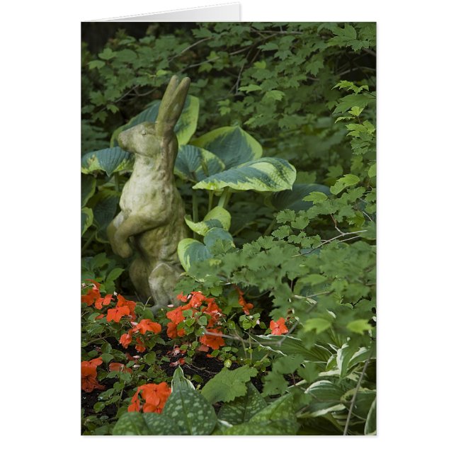 ALERT BUNNY (Frente)