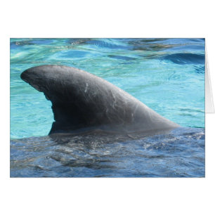 Aleta de la muñeca - serie de TBD