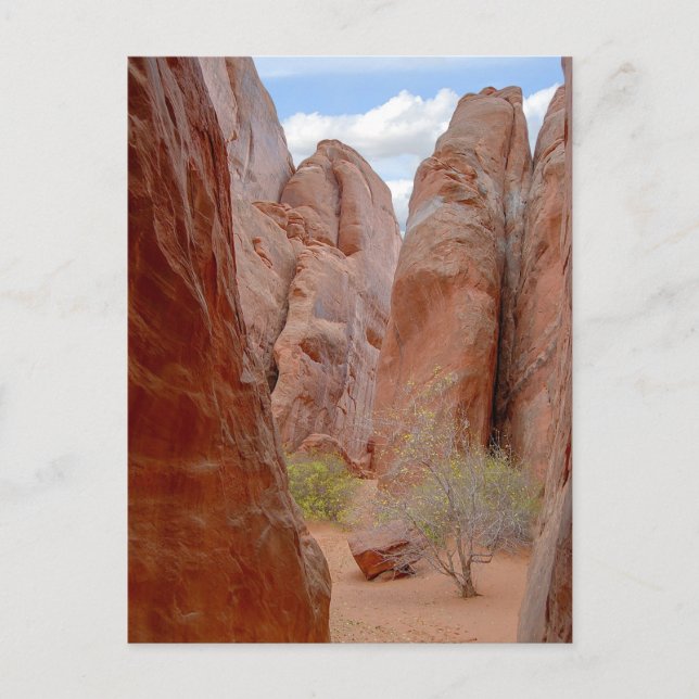 Aletas, Parque Nacional de Arcos, Utah, postal (Anverso)