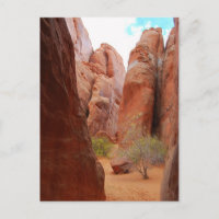 Aletas, Parque Nacional de Arcos, Utah, postal