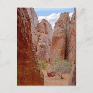 Aletas, Parque Nacional de Arcos, Utah, postal