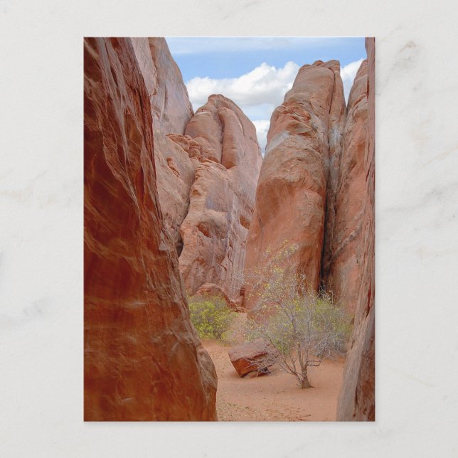 Aletas, Parque Nacional de Arcos, Utah, postal (Anverso)
