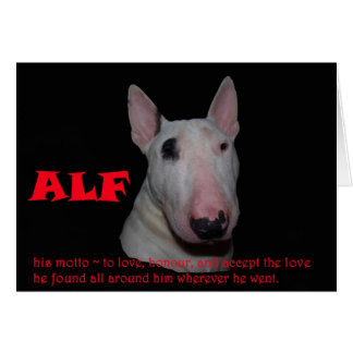 ALF aceptando el amor