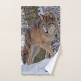 Alfa mongol en nieve