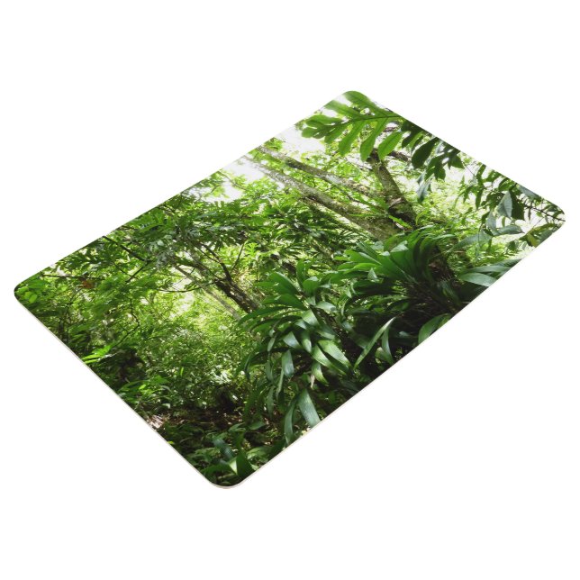 Alfombra Bosque lluvioso dominicano I Naturaleza tropical v (3/4)