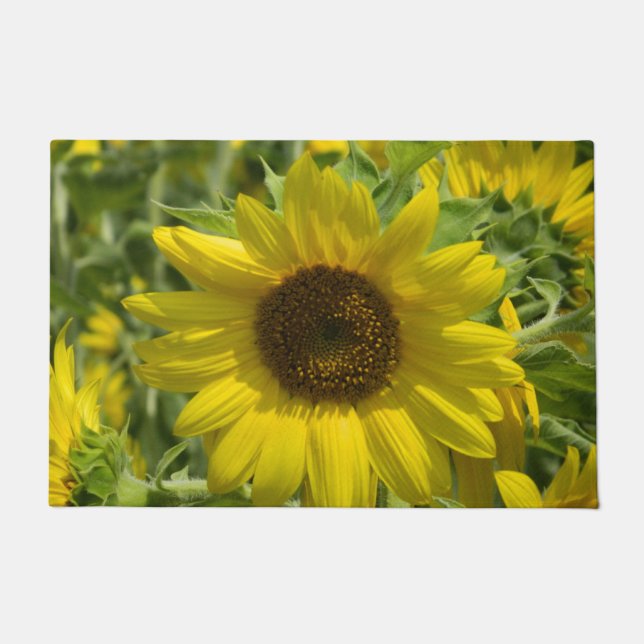 Alfombra de bienvenida de girasol de verano (Anverso)