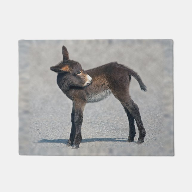 Alfombra de burro (Anverso)