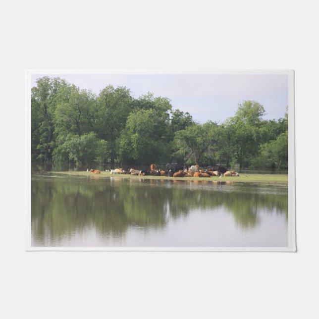 Alfombra de Entrada de Vaca (Anverso)