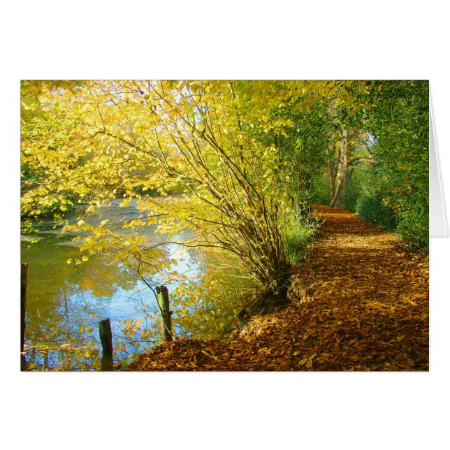 Alfombra de hojas (Anverso (Horizontal))