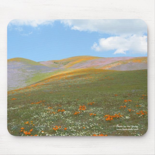 Alfombra de la primavera de la naturaleza (Frente)
