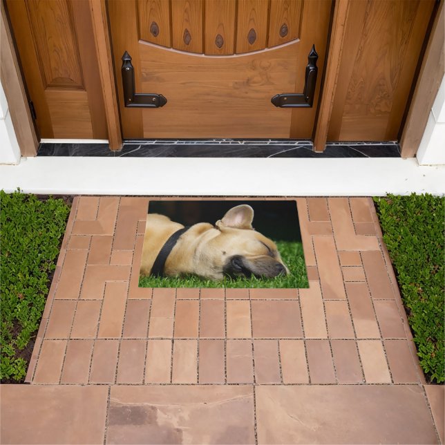 Alfombra de perro para hogar (Exterior)