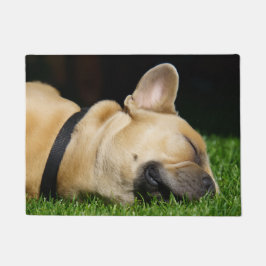 Alfombra de perro para hogar