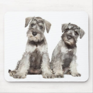 Alfombra de ratón de cachorro de Schnauzer miniatu