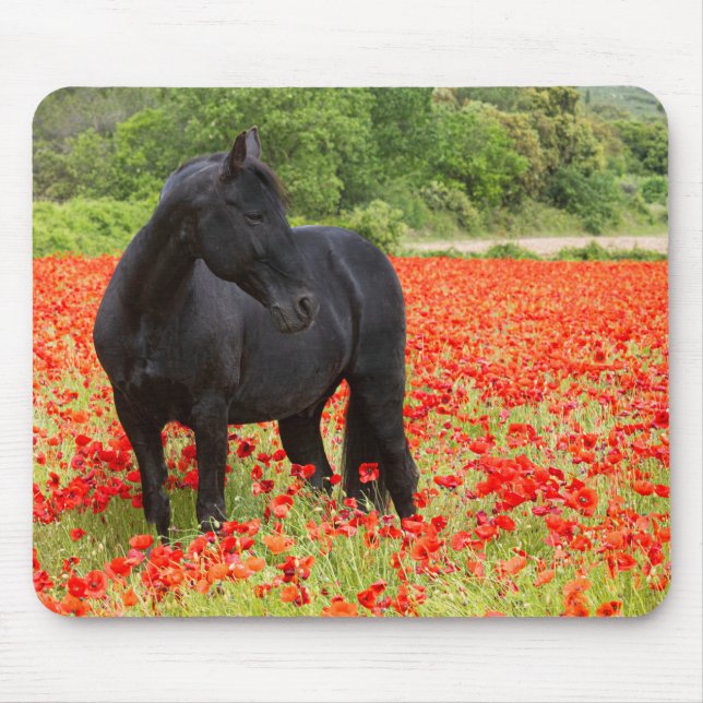 Alfombra de ratón de Semental negro y amapolas (Frente)