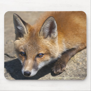 Alfombra de ratón Luna Fox