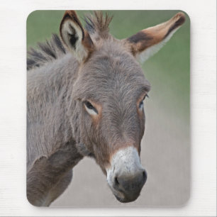 Alfombra de ratón retrato de burro