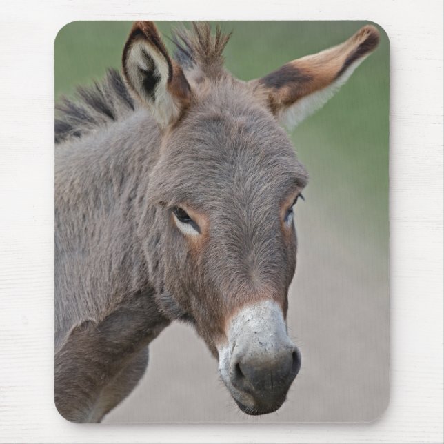 Alfombra de ratón retrato de burro (Frente)