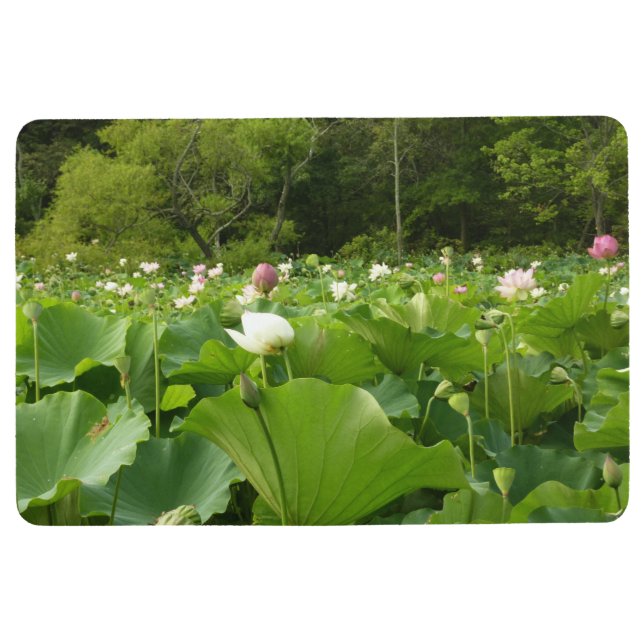 Alfombra Jardín de verano de Lotus Flowers (Anverso)