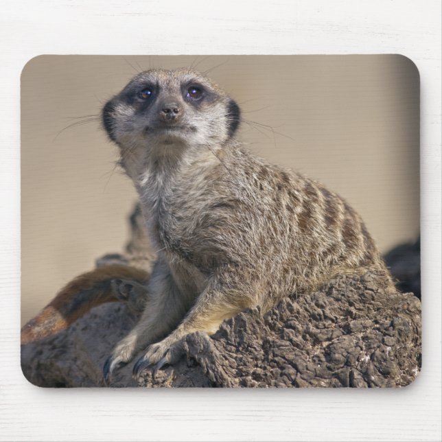 Alfombra para ratón de suricata (Frente)