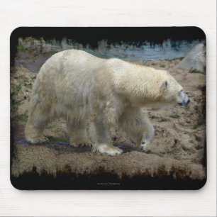 Alfombra Polar Bear Ártico Amante de los Osos