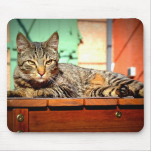 Alfombra ratón gato atigrado sobre una mesa de