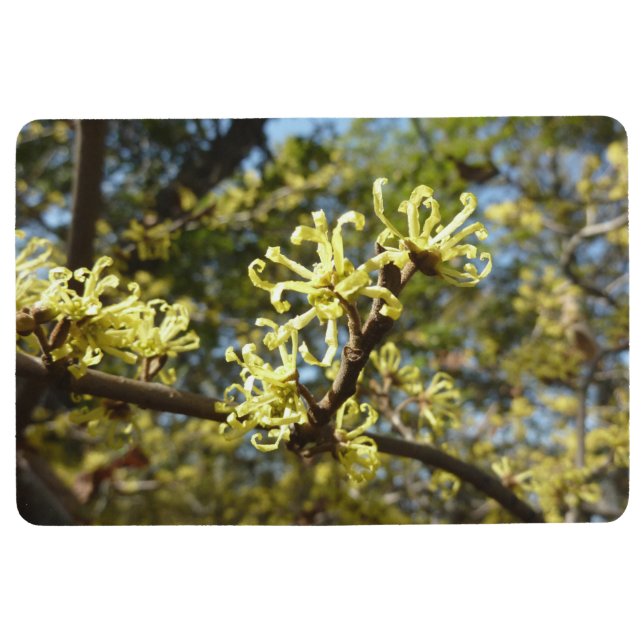 Alfombra Witch Hazel Flowers (Anverso)