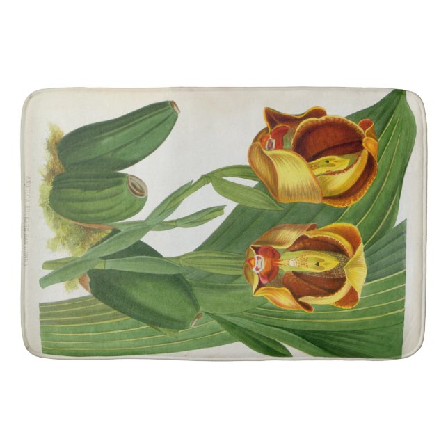 Alfombrilla De Baño Anguloa Ruckerii Sanguine Lindenia Orquid (Anverso)