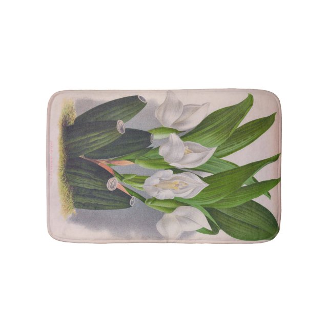 Alfombrilla De Baño Anguloa Uniflora Lindenia (Anverso)