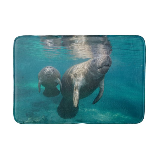 Alfombrilla De Baño Animales de bebé más afectados | Manatee & Baby (Anverso)