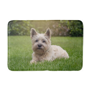 Alfombrilla De Baño Animales de bebé más afectados   Perro Cairn Terri