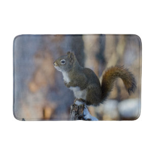 Alfombrilla De Baño ardilla de invierno, animal marrón, fotografía can