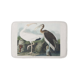 Alfombrilla De Baño Arte de Naturaleza del Pájaro Ibis Blanco de Audub