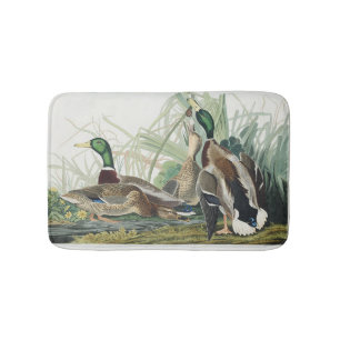Alfombrilla De Baño Arte de vida silvestre de pato silbón de Audubon v