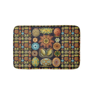 Alfombrilla De Baño Ascidiae por Ernst Haeckel, Animales Marinos Antig
